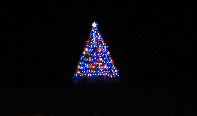Tree decorated with electric lights