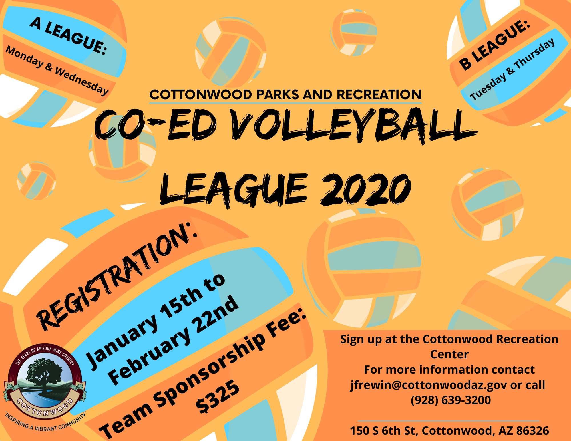 Co-Ed Volleyball 2020 Flyer