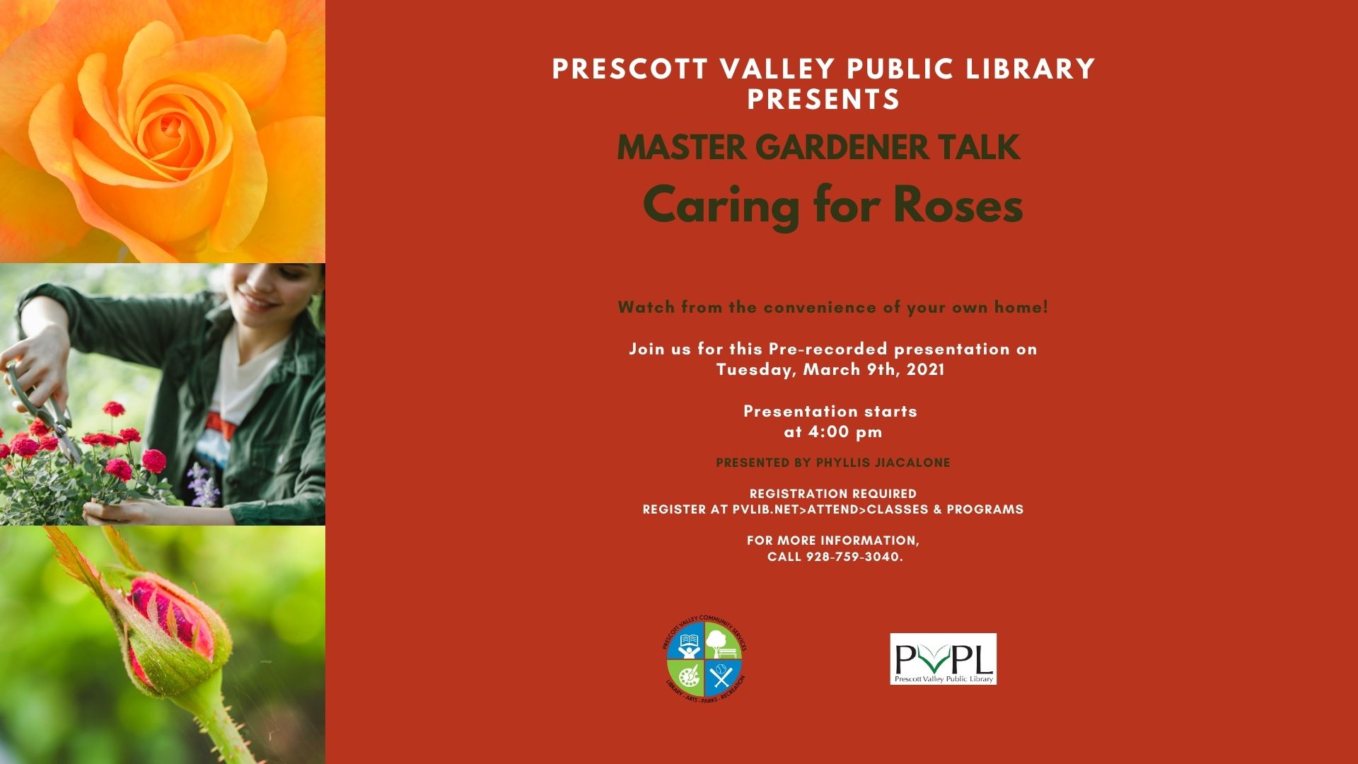 March 9th, 2021 Master Gardener: Caring for Roses – Registration Required – Virtual Pre-recorded