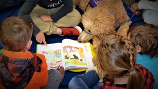 Read to a Dog!