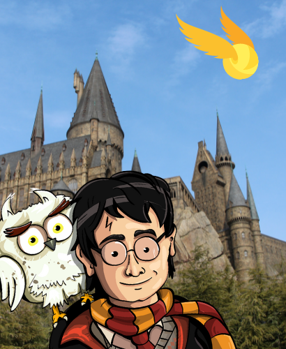 Harry Potter with Hedwig standing in front of Hogwarts Castle. The golden snitch flies in the air.