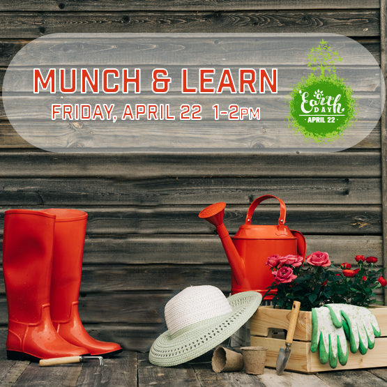 Munch & Learn:  Wake Up Your Garden