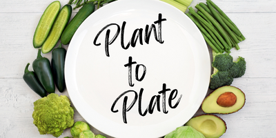 Plant to Plate: Harvesting and Using Your Bounty