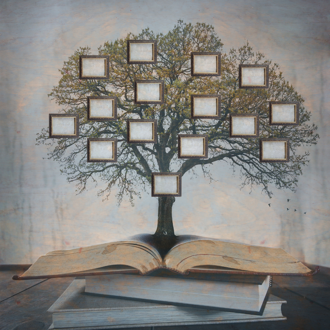 Image of an empty family tree coming out of a book