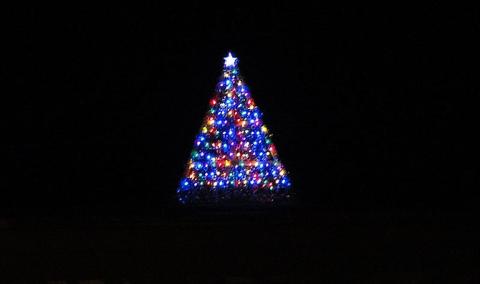 Lighted tree