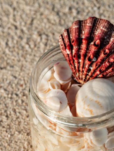 Shells in a jar