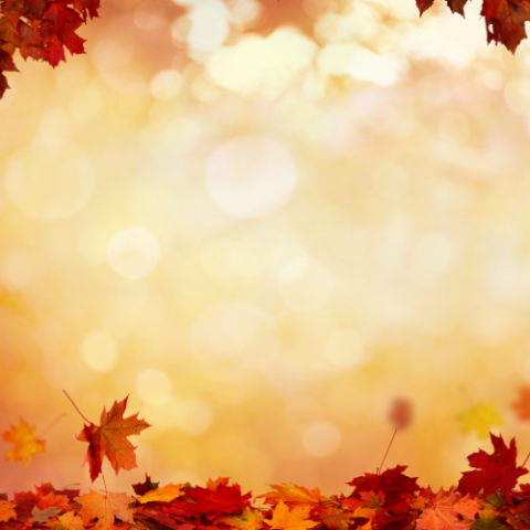 Image of Fall Leaves