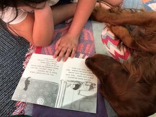 Read to a Dog!