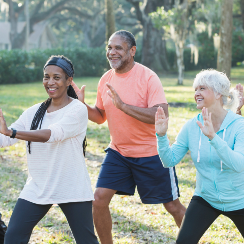 Adults in a park participating in tai chi