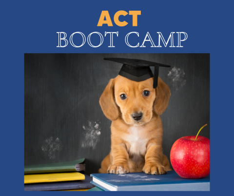 A Picture of a puppy with a graduation cap sitting on books.