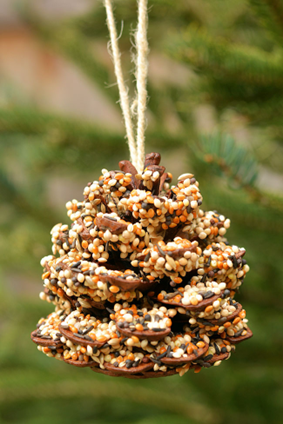 Pinecone Birdfeeder