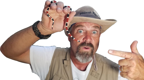man holding small snake