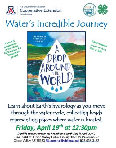 water cycle workshop