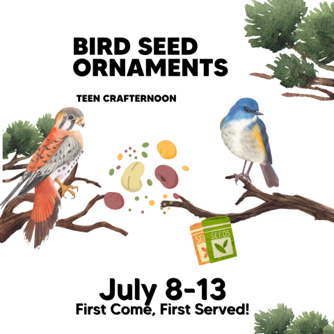 Bird Seed Ornaments Poster 