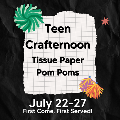 Tissue Paper Pom Poms Poster