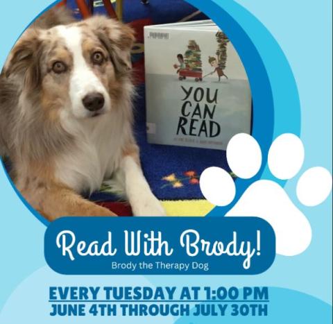 Picture of an Australian Shepherd and a book; underneath are the words, "Read with Brody! Every Tuesday at 1:00pm, June 4th through July 30th"