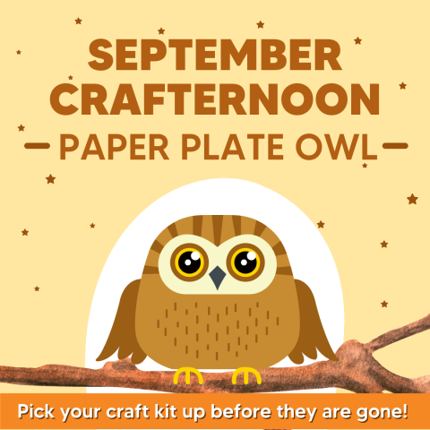 Says, "Paper Plate Owl: Teen Crafternoon" with clip art of an owl.