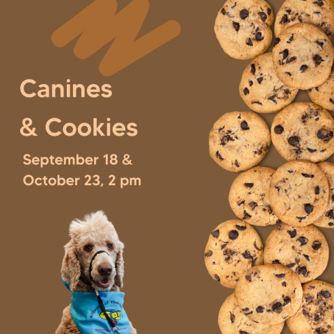 Canines and Cookies poster with image of a therapy dog poodle and chocolate chip cookies.