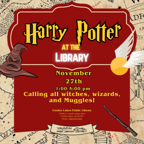 harry Potter In the library day
