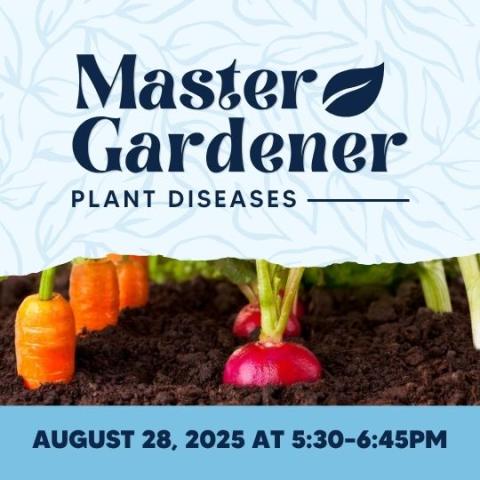 event poster with root vegetables carrots radish