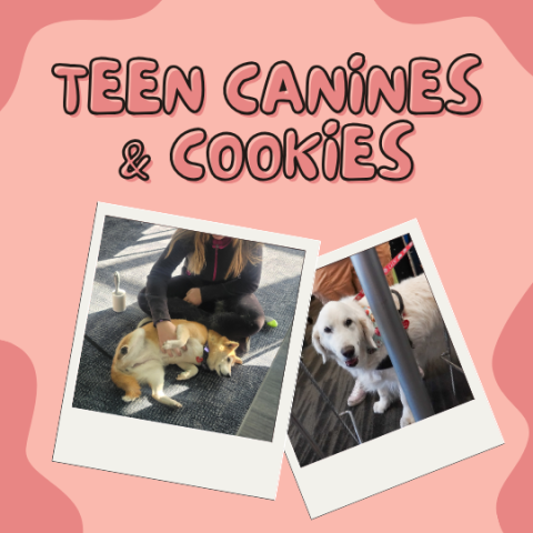 Teen Canines & Cookies poster with two photos of therapy dogs.