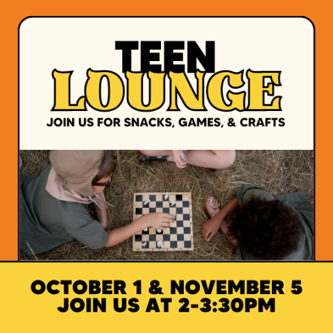 Teen Lounge Poster with photo of teens playing chess.
