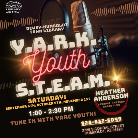Youth STEAM Program