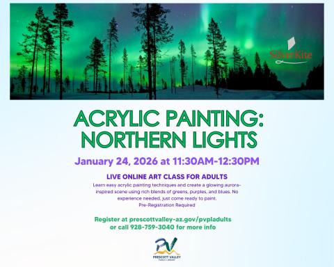 event poster with a forest background at night with green northern lights in the sky