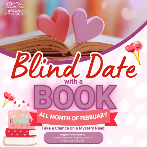 BAG Blind Date with a book