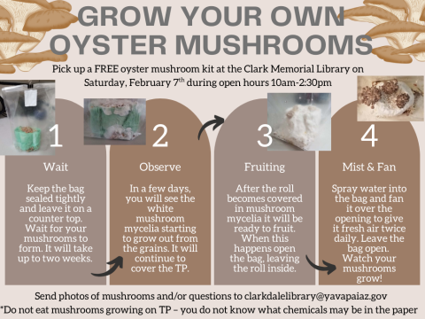 Directions for how to grow your own mushroom using the kits including step by step photos.