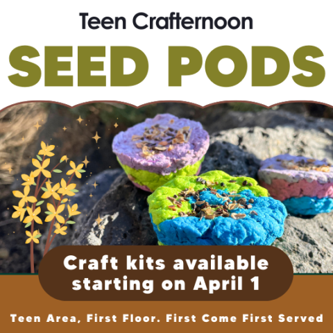 Seed Pods flyer with photo of craft