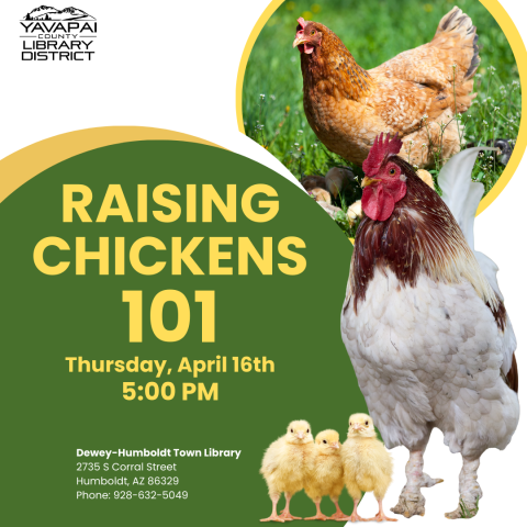 Raising Chickens 101