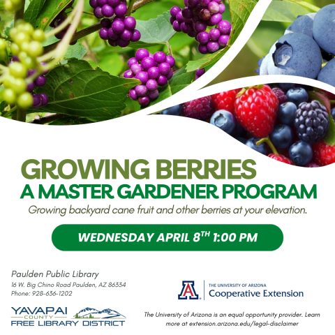 Growing Berries: A Master Gardener Program