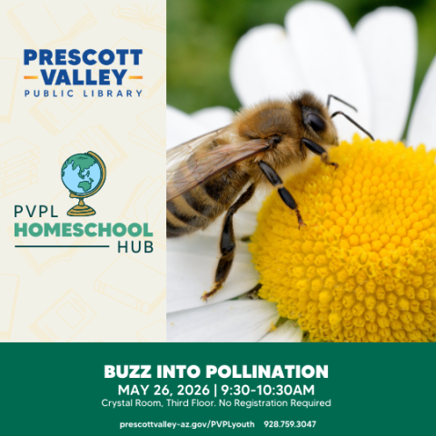 Close-up photo of a bee on a white daisy and a graphic designed globe above text PVPL homeschool hub on an ivory background. There is a text banner that reads “Bees and Pollination, May 26, 2026, 9:30-10:30AM Crystal Room, Third Floor. No Registration Required"