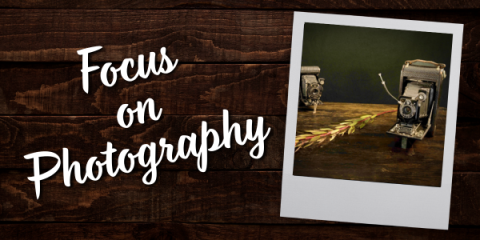 Focus on Photography: The Magic of Focus Stacking