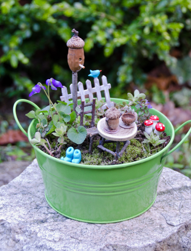 Fairy Garden