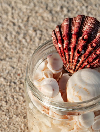 Shells in a jar