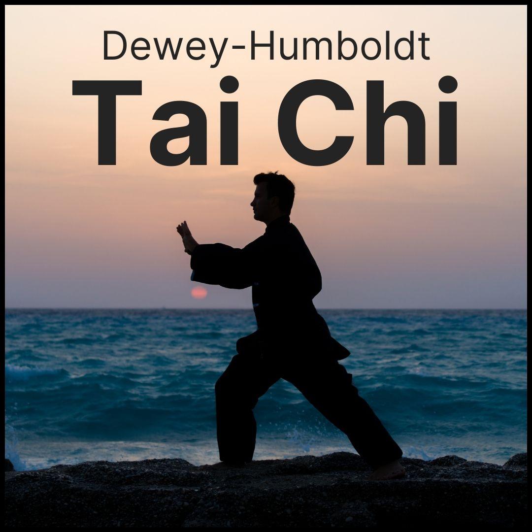 Tai Chi Flyer