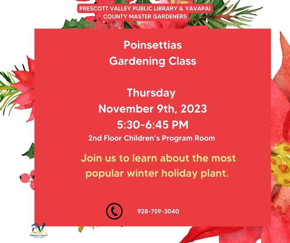 mg poinsettias