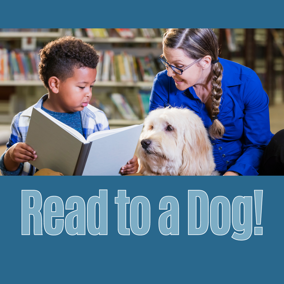 Boy reading to a dog