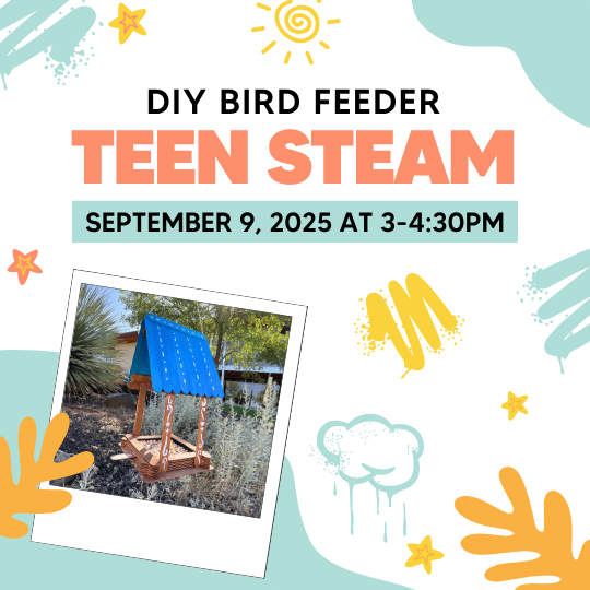 DIY Bird Feeder poster with photo of the bird feeder craft.