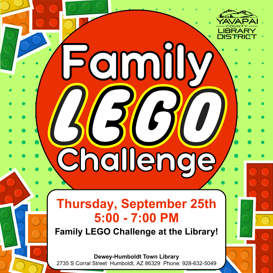 Family Lego Challenge