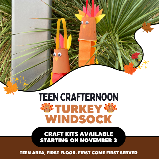 Turkey Windsock Poster with photo of the craft