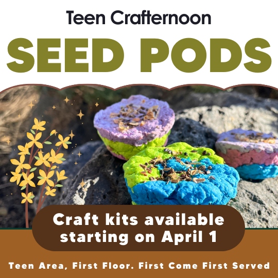 Seed Pods flyer with photo of craft