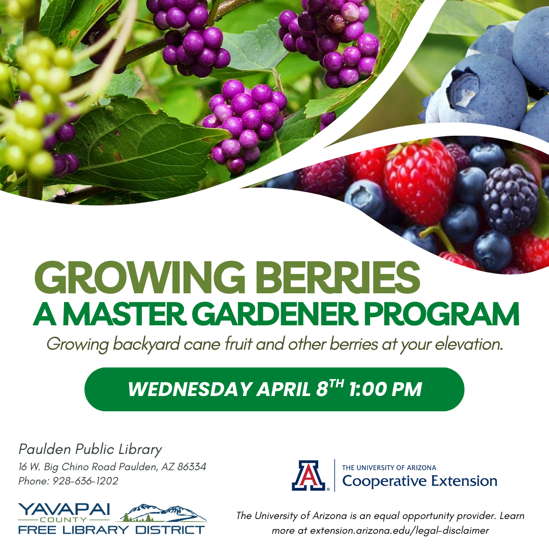 Growing Berries: A Master Gardener Program
