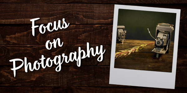 Focus on Photography: The Magic of Focus Stacking